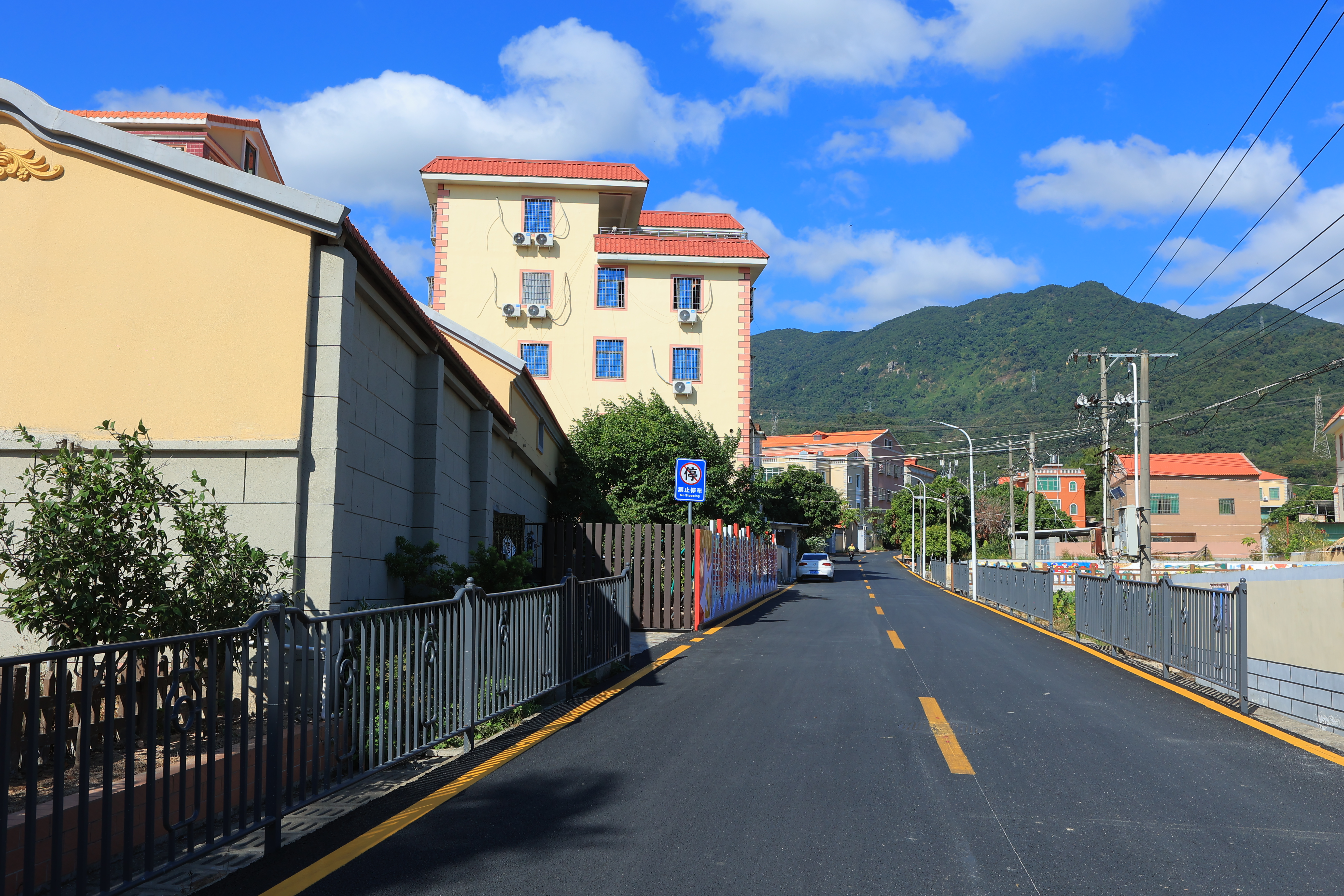 田头村美丽村道